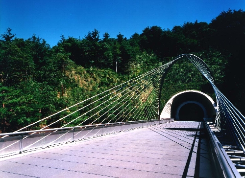 Miho Museum Bridge