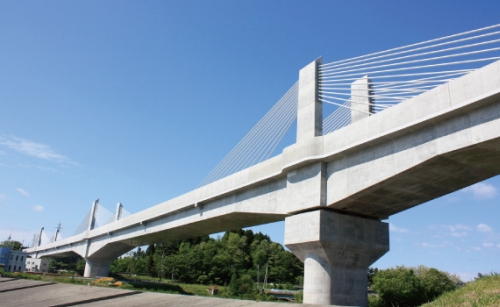 Sannai maruyama Bridge