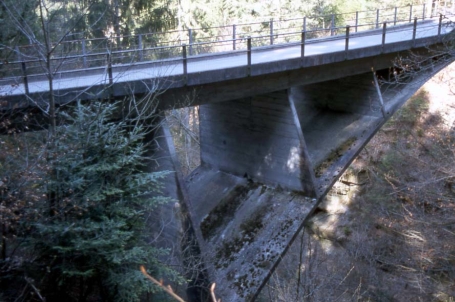 Schwandbach Bridge