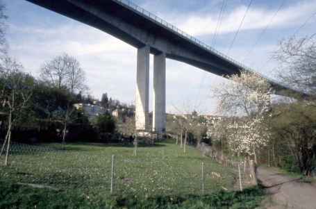 Felsenau Bridge