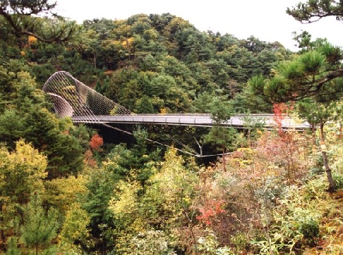 Miho Museum Bridge