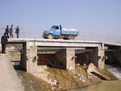 Bamboo Bridge